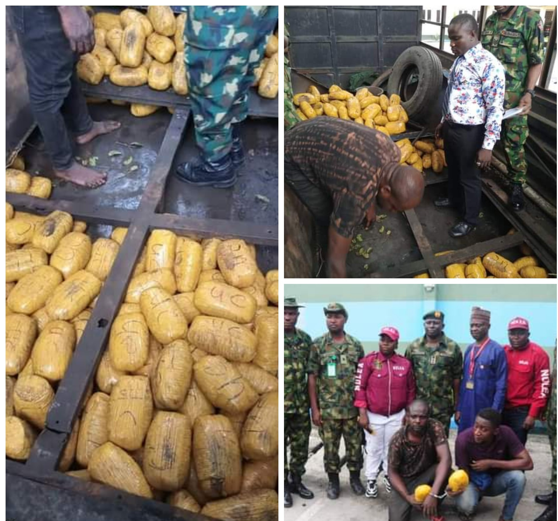 Nigerian Army Intercepts 792 Parcels Of Indian Hemp Worth N10m In Ogun